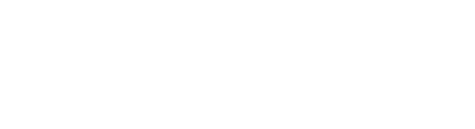 Noll-Fisher, inc. Logo all white